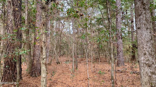 0 Bell Point Road, Merritt, NC 28556