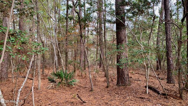 0 Bell Point Road, Merritt, NC 28556