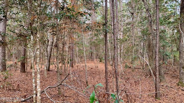 0 Bell Point Road, Merritt, NC 28556