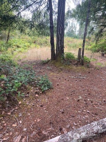 31 N Rainbow Way W, Hoodsport, WA 98548