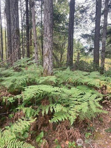31 N Rainbow Way W, Hoodsport, WA 98548