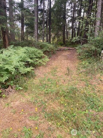 31 N Rainbow Way W, Hoodsport, WA 98548