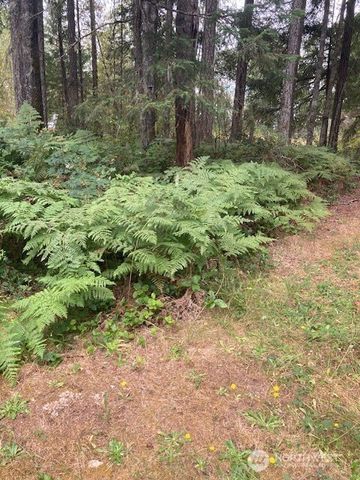 31 N Rainbow Way W, Hoodsport, WA 98548