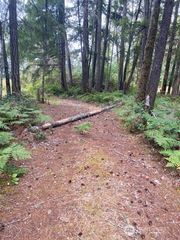 31 N Rainbow Way W, Hoodsport, WA 98548