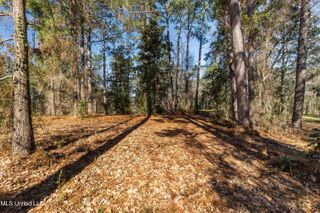 1906 S 28th Avenue Ext., Hattiesburg, MS 39402