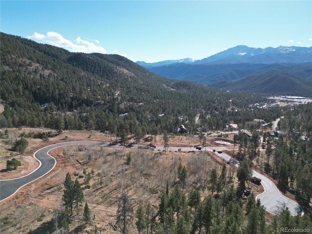 15 Blue Haven Pl, Woodland Park, CO 80863