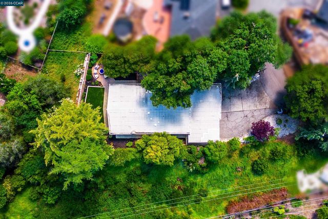 11 Dale Court, Lafayette, CA 94595