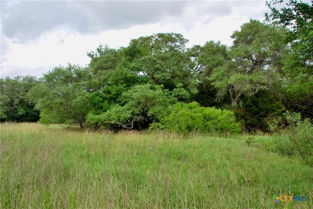 TBD Tract 1 N State Highway 95, Flatonia, TX 78941