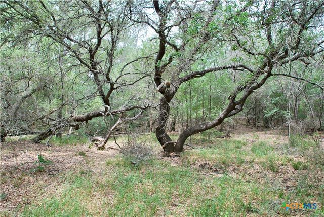 TBD Tract 1 N State Highway 95, Flatonia, TX 78941