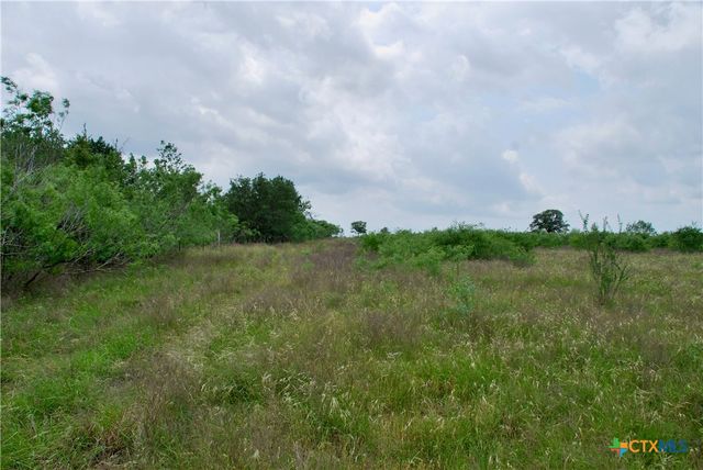 TBD Tract 1 N State Highway 95, Flatonia, TX 78941