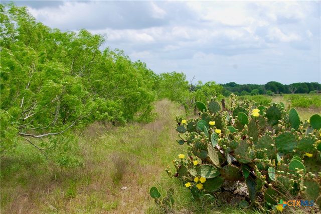 TBD Tract 1 N State Highway 95, Flatonia, TX 78941