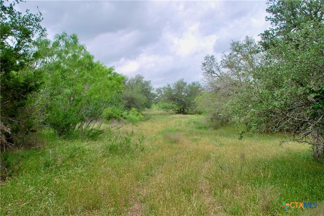 TBD Tract 1 N State Highway 95, Flatonia, TX 78941