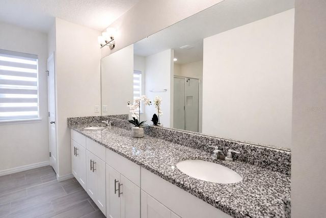 11021 BOSTWICK ALLEY, Winter Garden, FL 34787