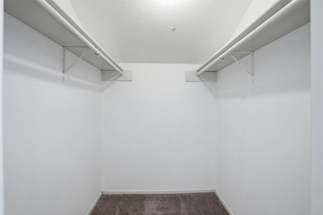 1920 Augusta Drive 31, Houston, TX 77057