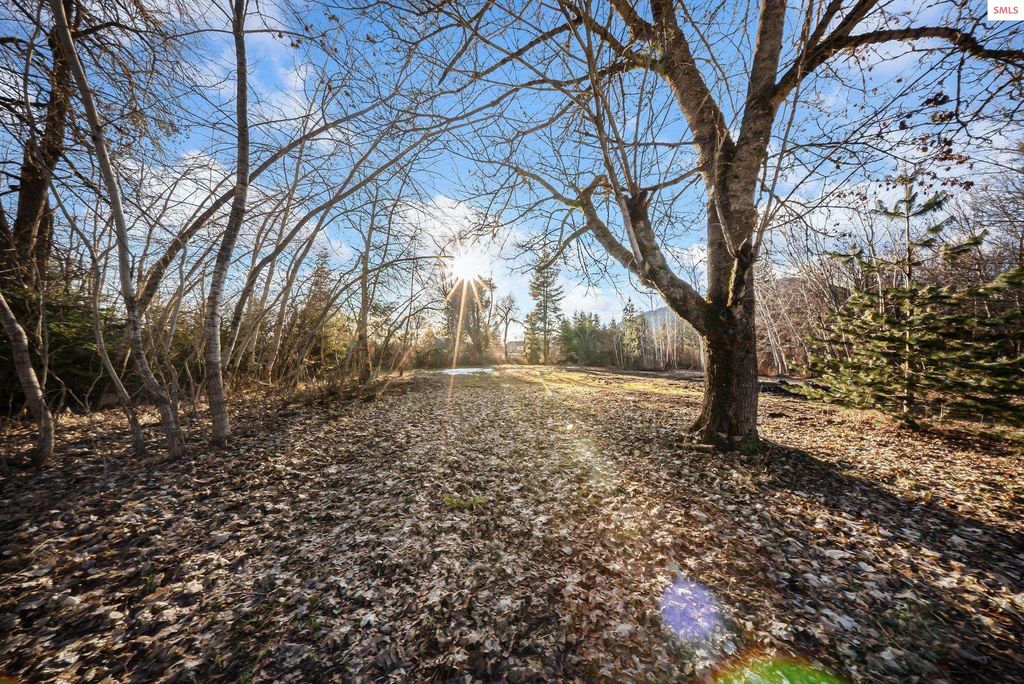 477545 US-95, Ponderay, ID 83852 photo 23