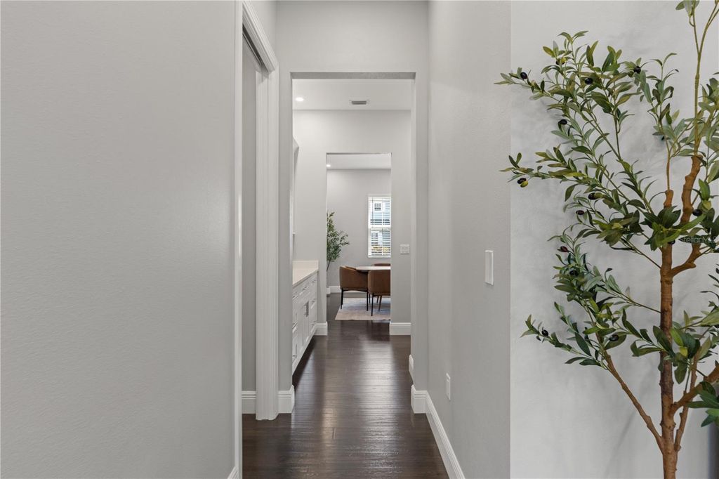 Image 18 of property listing at 3709 W DALE AVENUE, Tampa, FL 33609