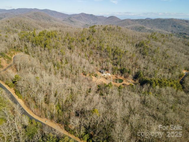 99999 Mills River Way 108, Horse Shoe, NC 28742