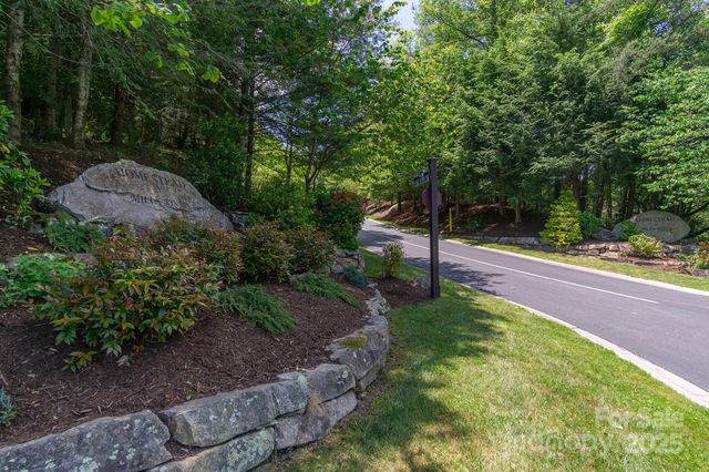 99999 Mills River Way 108, Horse Shoe, NC 28742
