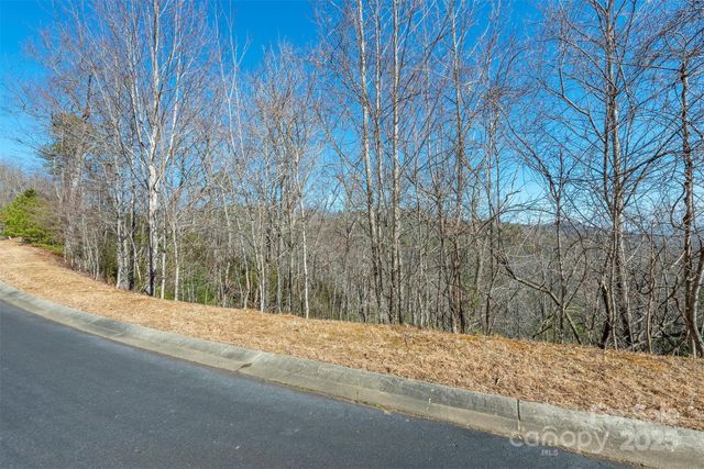99999 Mills River Way 108, Horse Shoe, NC 28742