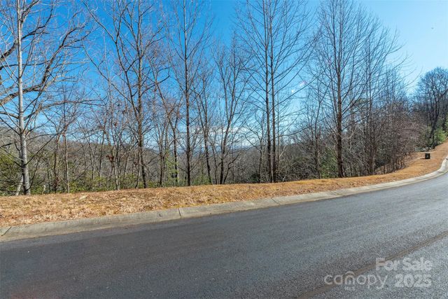 99999 Mills River Way 108, Horse Shoe, NC 28742