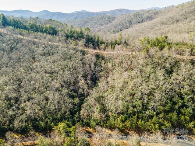 99999 Mills River Way 108, Horse Shoe, NC 28742