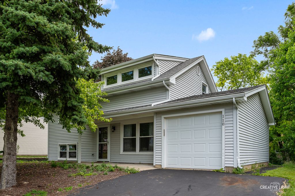 110 Delaware Drive, Bolingbrook, IL 60440