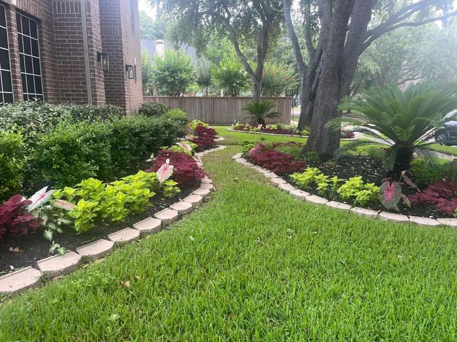 3231 Oak Cliff Lane, Missouri City, TX 77459