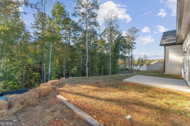 243 Cassidy Trail, Douglasville, GA 30134