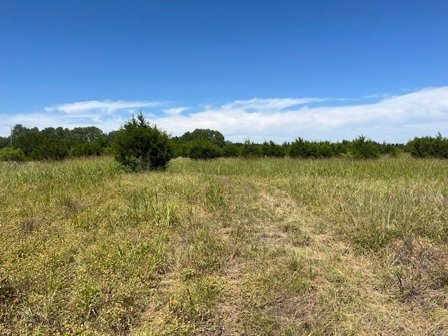 707 County Road 426, Purmela, TX 76566