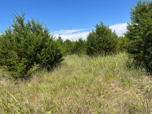 707 County Road 426, Purmela, TX 76566