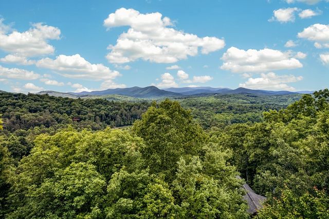 40 Foxfire Lane, Blue Ridge, GA 30513