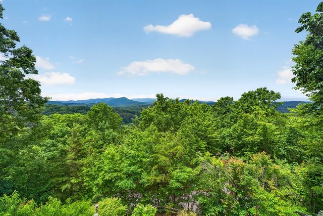 40 Foxfire Lane, Blue Ridge, GA 30513
