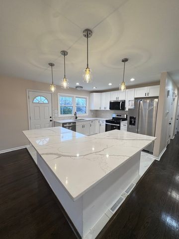 1338 JILL Terrace, Homewood, IL 60430