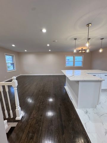 1338 JILL Terrace, Homewood, IL 60430