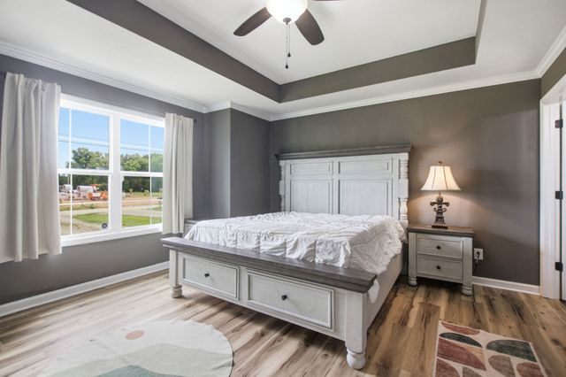 312 Spring Creek St, Chapel Hill, TN 37034