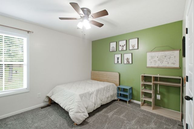 312 Spring Creek St, Chapel Hill, TN 37034