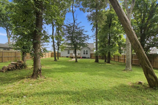 312 Spring Creek St, Chapel Hill, TN 37034