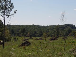 100 Summer City Road, Evensville, TN 37332