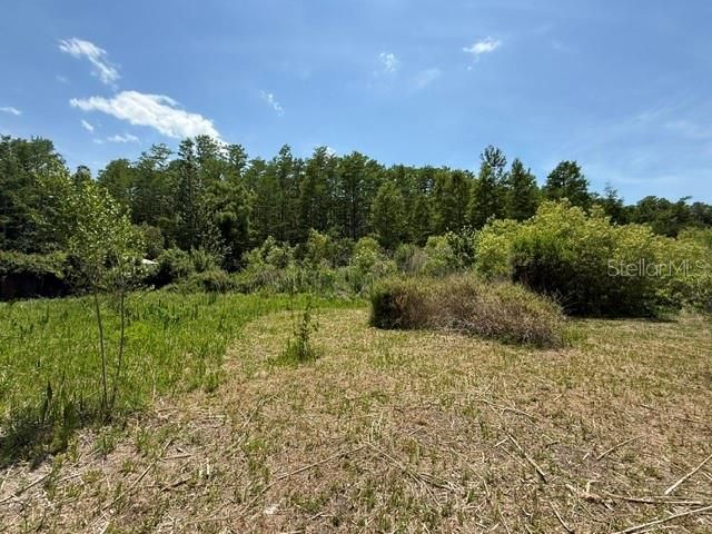 17889 THOMAS BOULEVARD, Hudson, FL 34667
