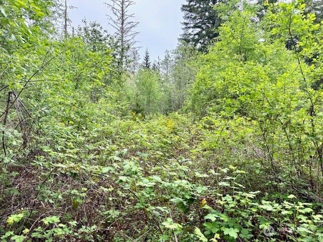 16711 115th Street NW, Gig Harbor, WA 98329