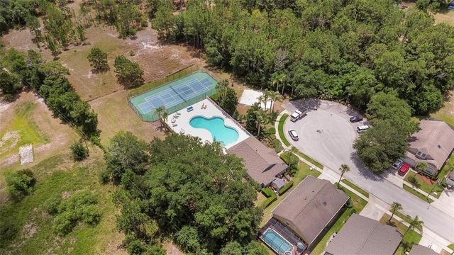 1939 MORNING STAR DRIVE, Clermont, FL 34714