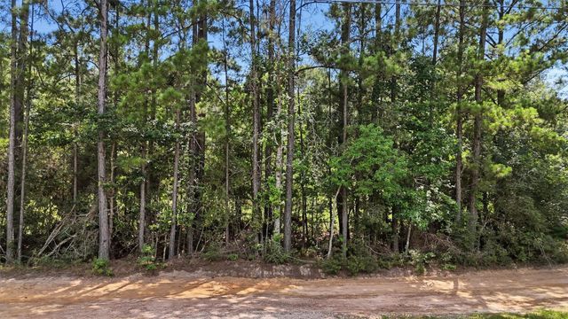 325 Natchez Road, Livingston, TX 77351