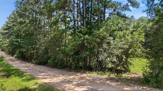 325 Natchez Road, Livingston, TX 77351