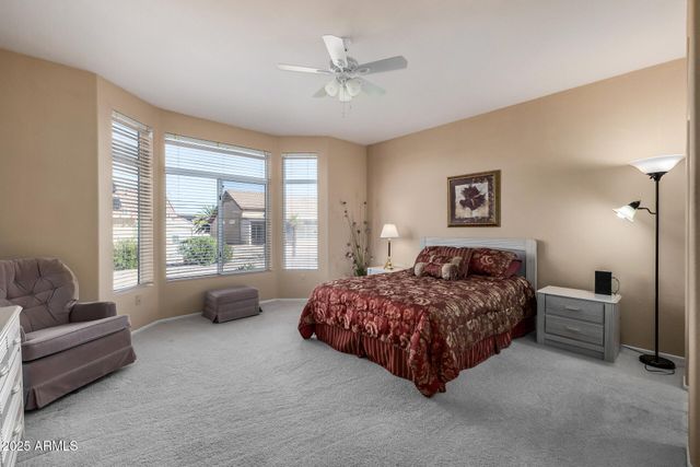 15924 W FALCON RIDGE Drive, Sun City West, AZ 85375