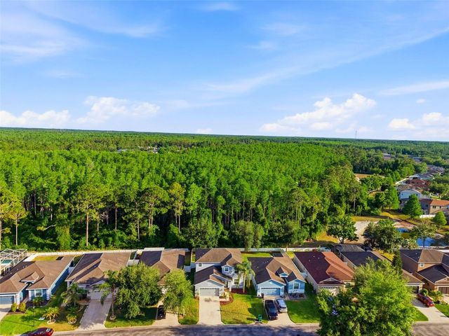 12832 SAULSTON PLACE, Hudson, FL 34669