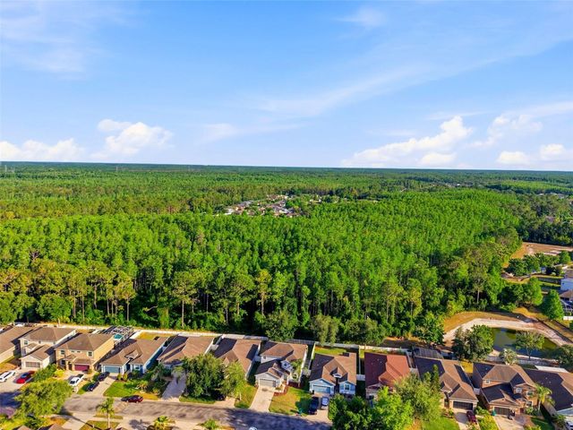 12832 SAULSTON PLACE, Hudson, FL 34669
