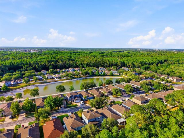 12832 SAULSTON PLACE, Hudson, FL 34669