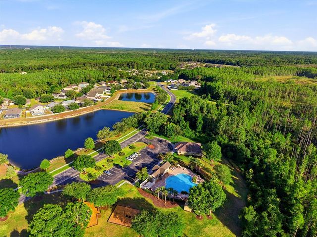 12832 SAULSTON PLACE, Hudson, FL 34669