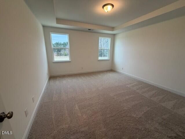 285 Black Forest Pointe Trail, Benson, NC 27504