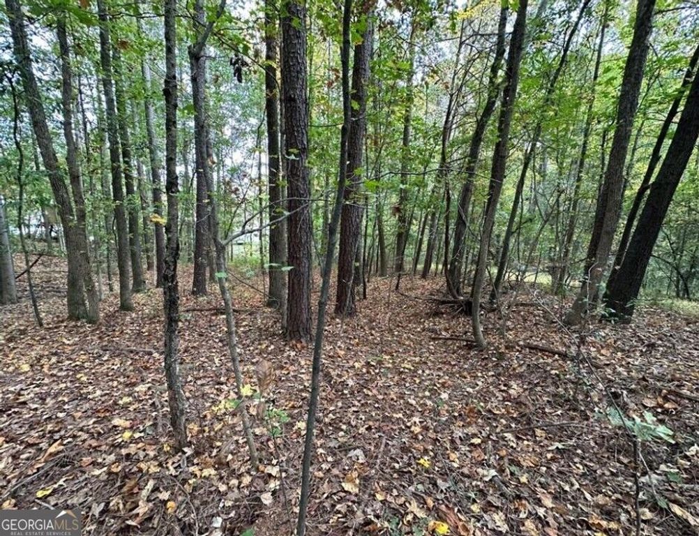 0 Villa Rica Highway, Dallas, GA 30157 — photo 4